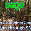 Part 2 of 2: Driving Climate Action through Small Business